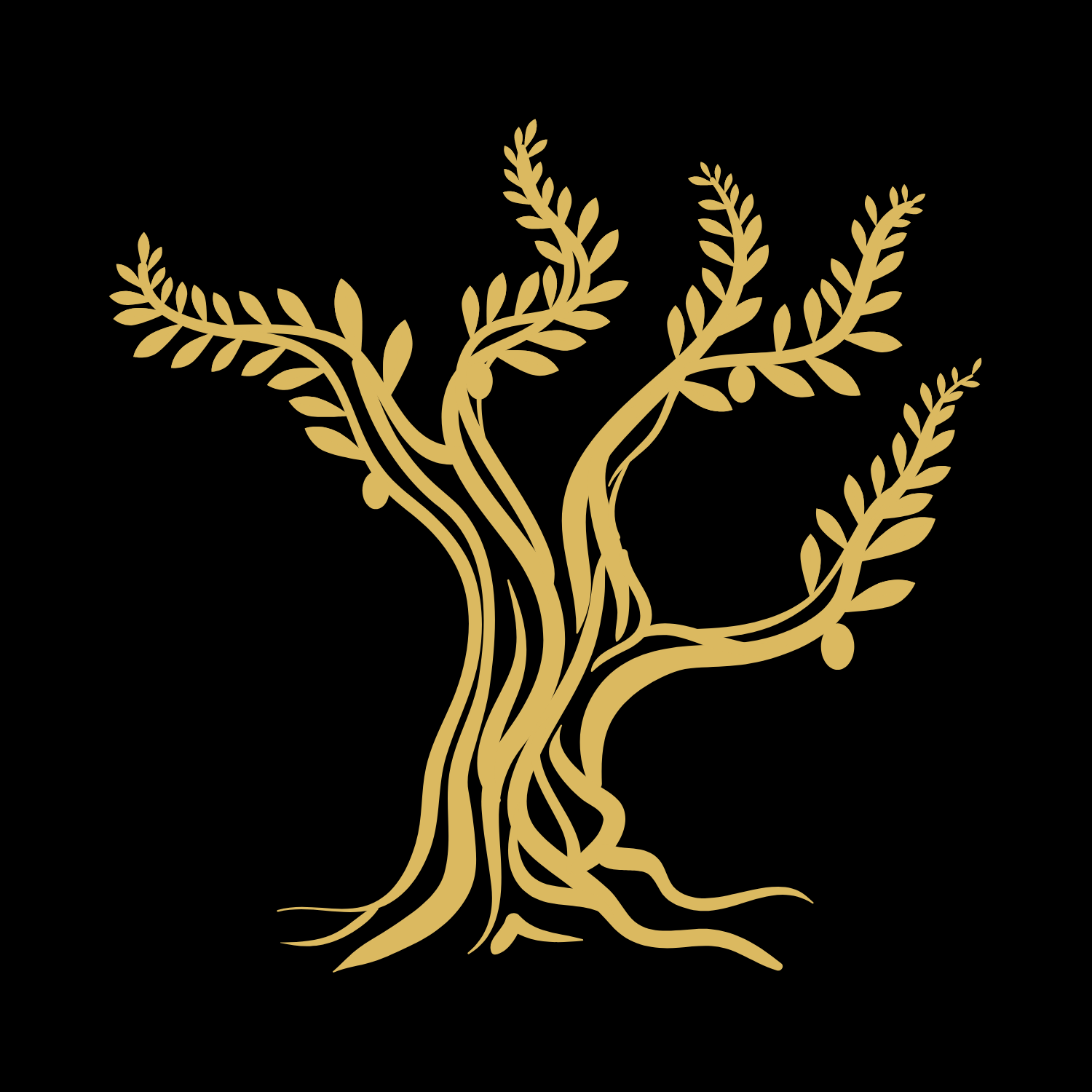 Kochen & Küche category icon/image